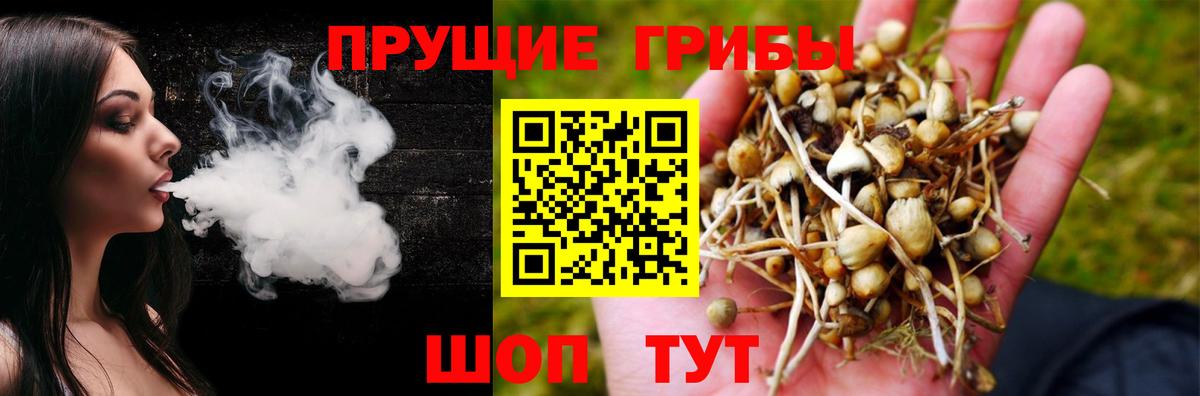 Алапаевск  Псилоцибиновые грибы Magic Shrooms  Вход с VPN 